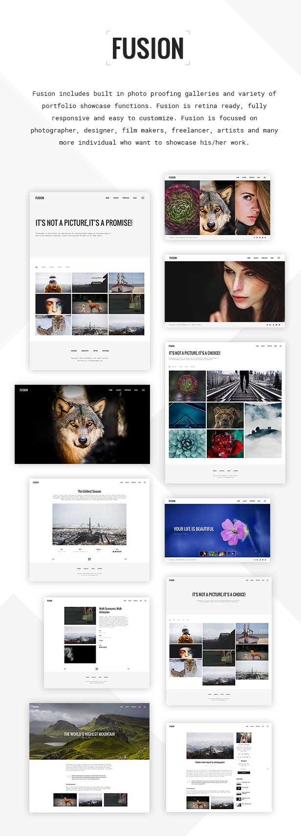 Fusion - Responsive Photography & Portfolio WordPress Theme - 3