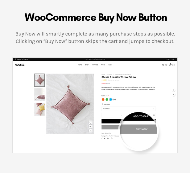 Moleez - Minimalist WordPress Theme for WooCommerce - 17